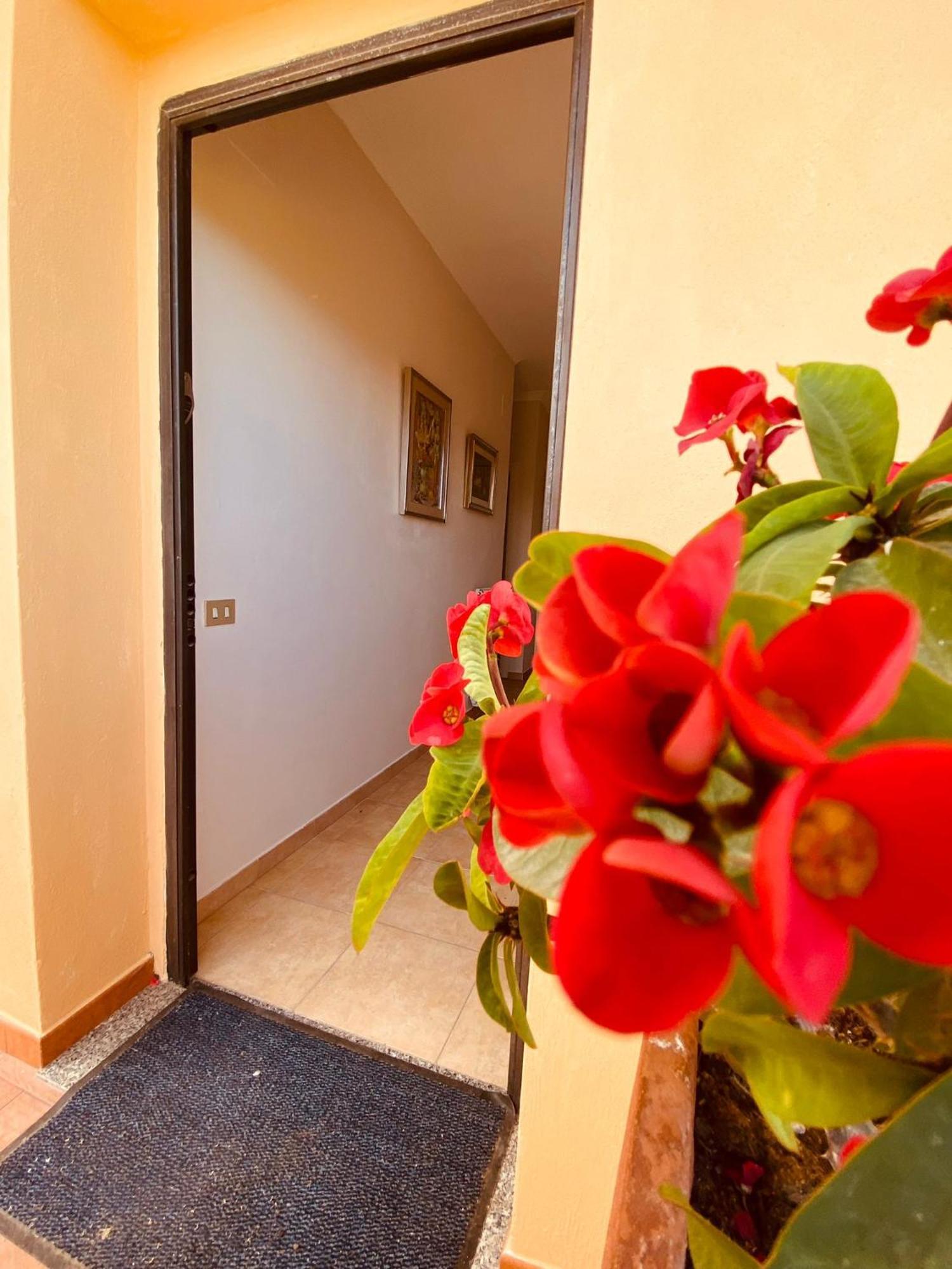Villa Bella Vista Santa Domenica  Extérieur photo